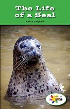 The Life of a Seal by Katie Smythe, 9781499492316