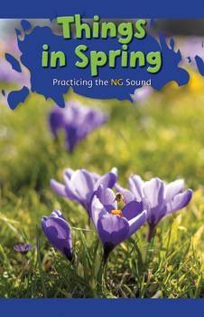 Things in Spring (Practicing the NG Sound) by Dylan Karsten, 9781508132981