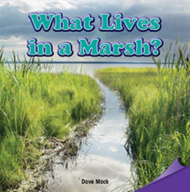 What Lives in a Marsh? by Dave Mack, 9781477725795