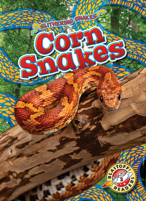 Corn Snakes by Joanne Mattern, 9798886870381