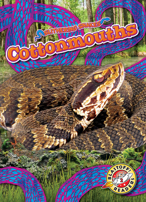 Cottonmouths - 9798886870398 by Joanne Mattern, 9798886870398