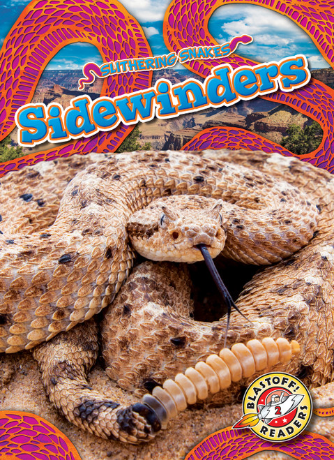 Sidewinders - 9798886870411 by Joanne Mattern, 9798886870411