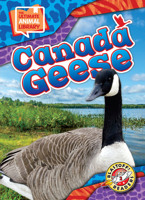 Canada Geese - 9798886870473 by Janie Scheffer, 9798886870473