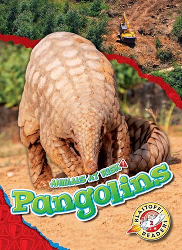 Pangolins - 9798886879759 by Rachel Grack, 9798886879759