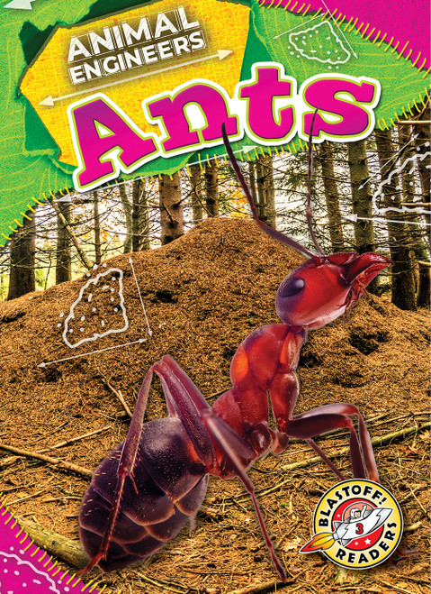 Ants - 9798886879902 by Rebecca Pettiford, 9798886879902