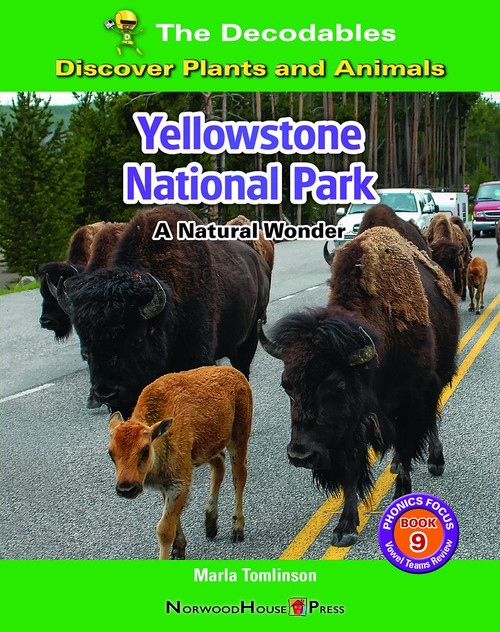 Yellowstone National Park: A Natural Wonder by Marla Tomlinson, 9781684049073