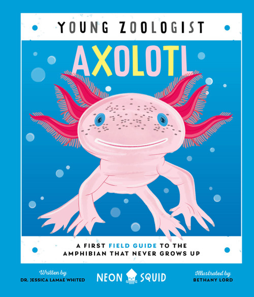 Axolotl (Young Zoologist) (A First Field Guide to the Amphibian That Never Grows Up) by Dr. Jessica LaMae Whited, Bethany Lord, Neon Squid, 9781684495115