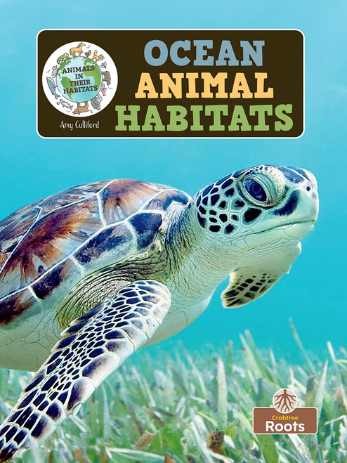 Ocean Animal Habitats - 9781039845442 by Amy Culliford, 9781039845442