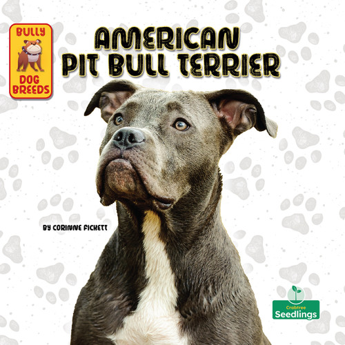 American Pit Bull Terrier - 9781039845473 by Corinne Fickett, 9781039845473