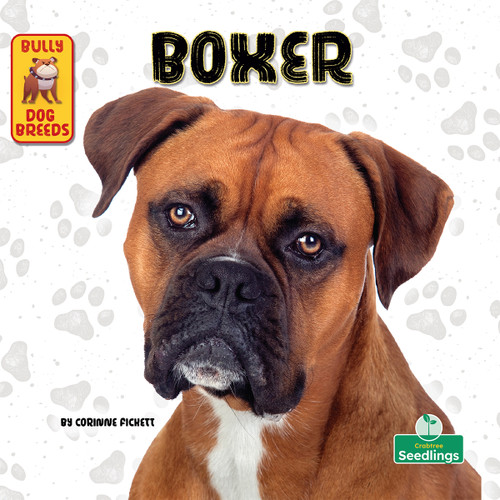Boxer - 9781039844674 by Corinne Fickett, 9781039844674