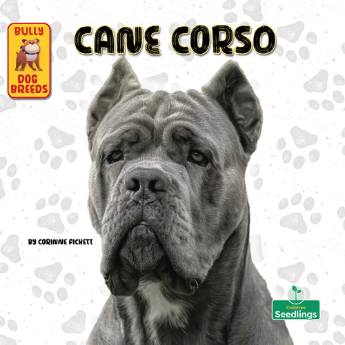 Cane Corso by Corinne Fickett, 9781039844728