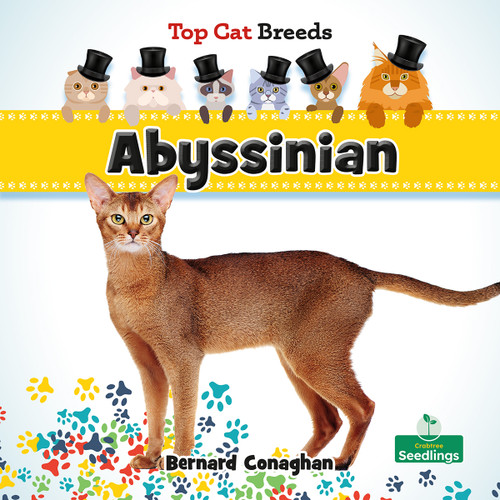 Abyssinian by Bernard Conaghan, 9781039838451