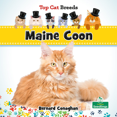 Maine Coon by Bernard Conaghan, 9781039838468