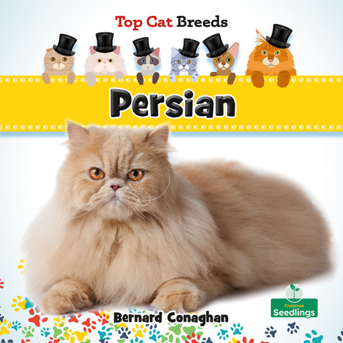 Persian by Bernard Conaghan, 9781039838437