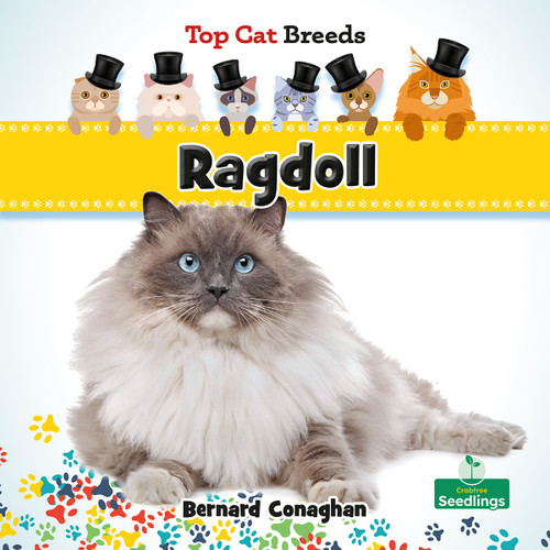 Ragdoll by Bernard Conaghan, 9781039838444