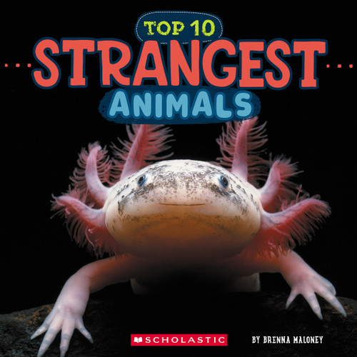 Strangest Animals (Wild World: Top 10) - 9781546136064 by Brenna Maloney, 9781546136064
