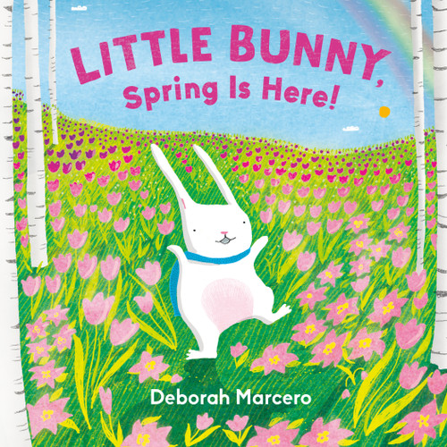 Little Bunny, Spring Is Here! by Deborah Marcero, 9780593698969