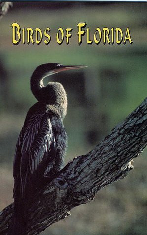 Birds of Florida by Frances Wyly Hall, 9780820009070