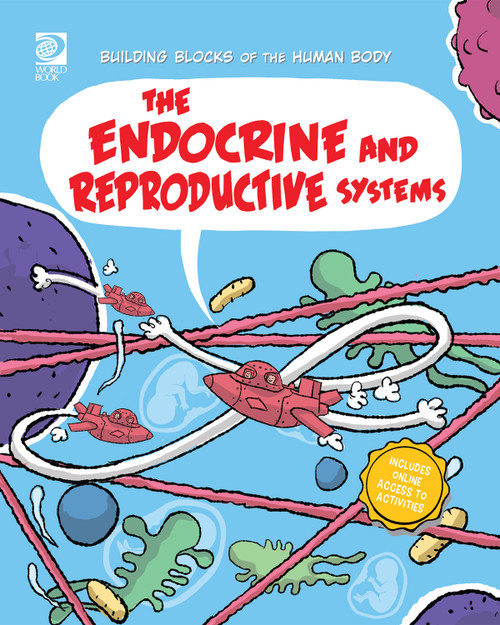 The Endocrine and Reproductive Systems by Joseph Midthun, Samuel Hiti, 9780716687849