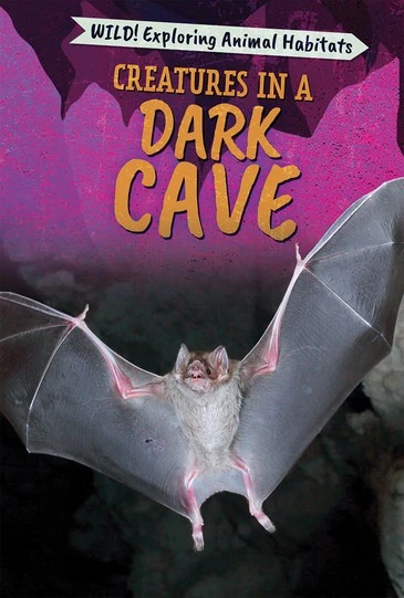 Creatures in a Dark Cave by Francine Topacio, 9781725304284