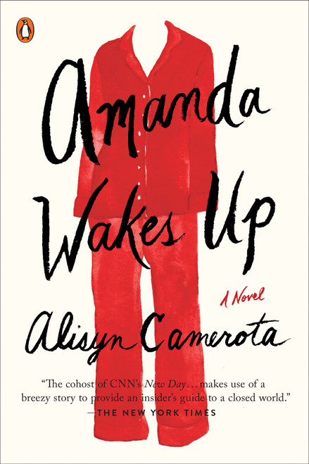 Amanda Wakes Up (A Novel) by Alisyn Camerota, 9780399564000
