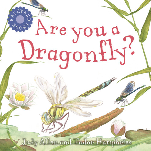 Are You a Dragonfly? by Judy Allen, Tudor Humphries, 9780753458051