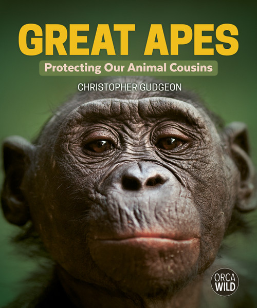 Great Apes (Protecting Our Animal Cousins) by Christopher Gudgeon, 9781459838109
