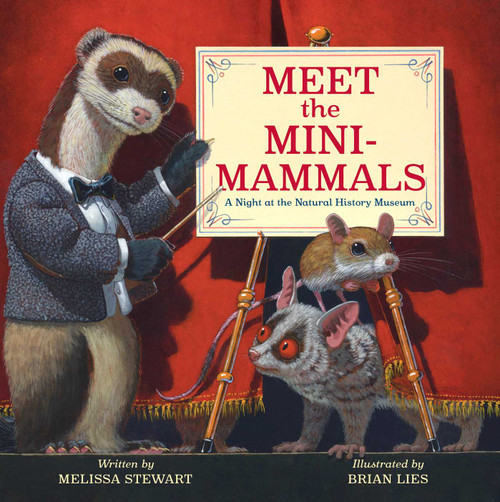 Meet the Mini-Mammals (A Night at the Natural History Museum) by Melissa Stewart, Brian Lies, 9781665947169