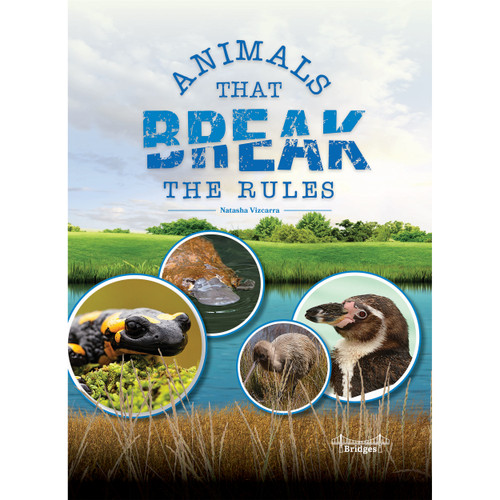 Animals That Break the Rules by Natasha  Vizcarra, 9781731658029