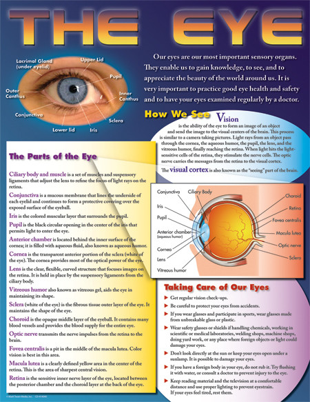 The Eye Chart by Mark Twain Media, 9781580374187