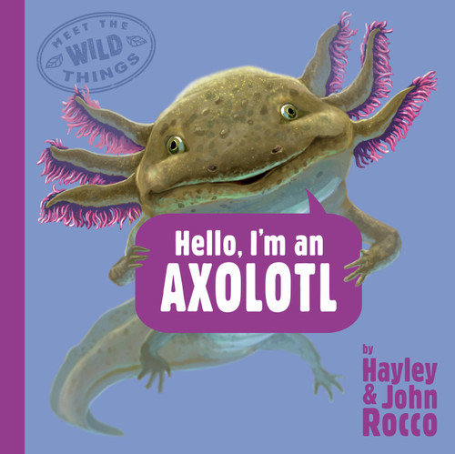 Hello, I'm an Axolotl (Meet the Wild Things, Book 4) by Hayley Rocco, John Rocco, 9780593618219