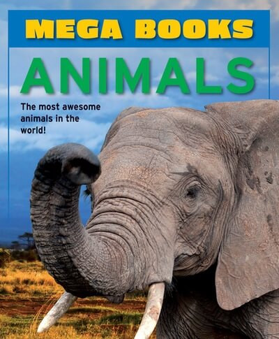 Animals - 9781482467871 by Nina Filipek, Sophie Giles, 9781482467871
