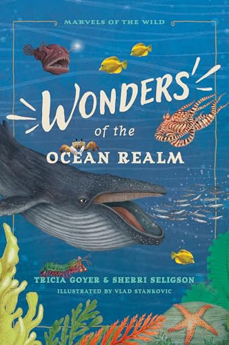 Wonders of the Ocean Realm (5 Under-the-Sea Tales of Faith and Science for Kids) by Tricia Goyer, Sherri Seligson, Vlad Stankovic, 9781496486462
