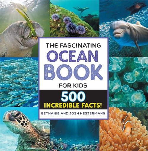 The Fascinating Ocean Book for Kids (500 Incredible Facts!) by Bethanie Hestermann, Josh Hestermann, 9781648768842