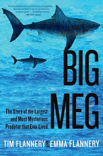 Big Meg (The Story of the Largest and Most Mysterious Predator that Ever Lived) - 9780802164186 by Tim Flannery, Emma Flannery, 9780802164186