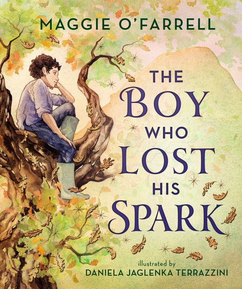 The Boy Who Lost His Spark by Maggie O'Farrell, Daniela Jaglenka Terrazzini, 9781536233933