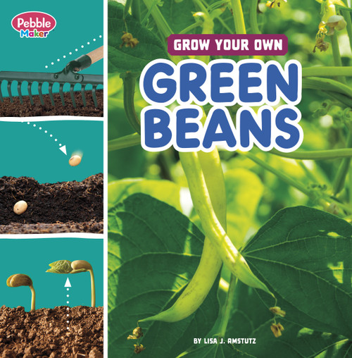 Grow Your Own Green Beans by Lisa J. Amstutz, 9780756589714