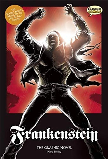 Frankenstein The Graphic Novel: Original Text by Mary Shelley, Jason Cobley, Declan Shalvey, Jason Cardy, Clive Bryant, 9781907127397