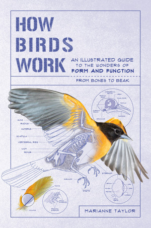 How Birds Work (An Illustrated Guide to the Wonders of Form and Function-from Bones to Beak) by Marianne Taylor, 9781615196470