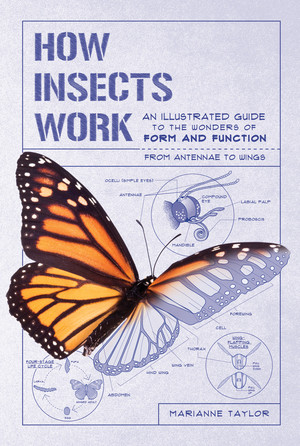 How Insects Work (An Illustrated Guide to the Wonders of Form and Function-from Antennae to Wings) by Marianne Taylor, 9781615196494