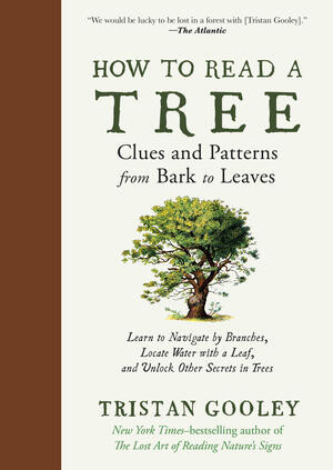 How to Read a Tree (Clues and Patterns from Bark to Leaves) by Tristan Gooley, 9781615199433