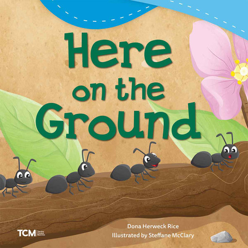 Here on the Ground by Dona Herweck Rice, Steffane McClary, 9798765961537