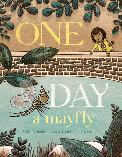 One Day a Mayfly by Shirley Marr, Michael Speechley, 9781536243611