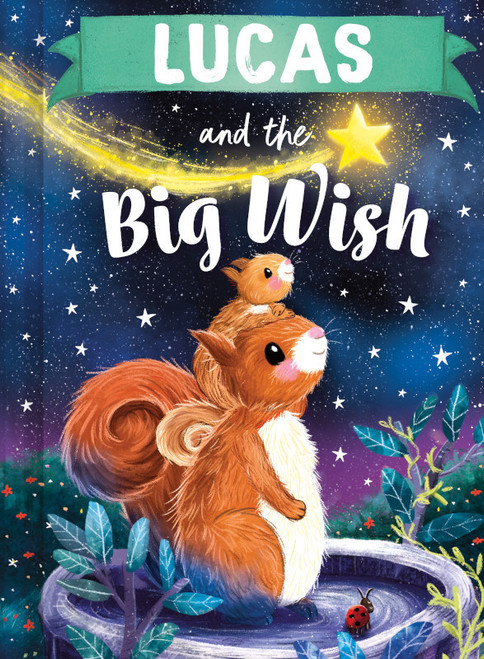 Lucas and the Big Wish by Louise Martin, Laura Watkins, 9781464240607