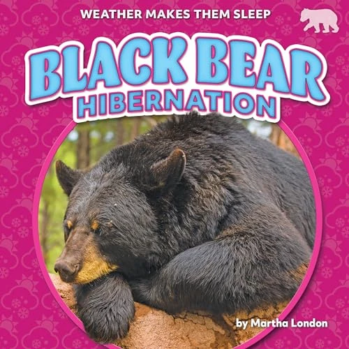 Black Bear Hibernation - 9798889162223 by Martha London, 9798889162223