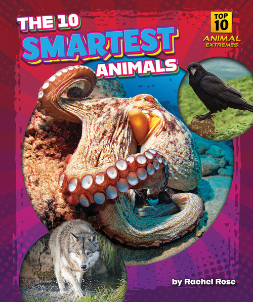 The 10 Smartest Animals by Rachel Rose, N/A, 9798892326414