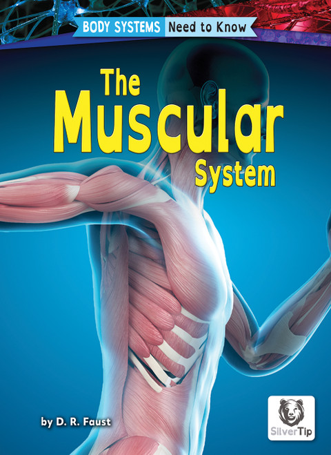 The Muscular System - 9798892326551 by D. R. Faust, N/A, 9798892326551