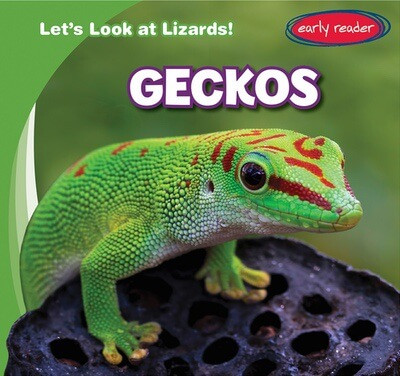 Geckos - 9781538292709 by Seth Lynch, 9781538292709