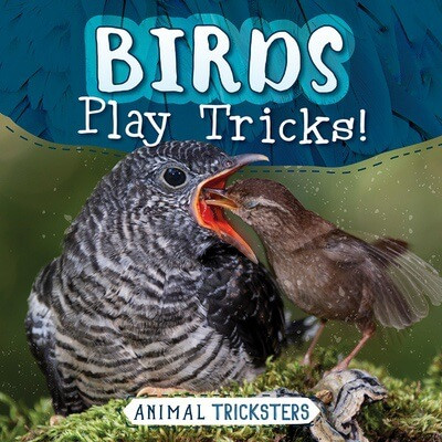Birds Play Tricks! - 9781538293461 by Judy Thorpe, 9781538293461