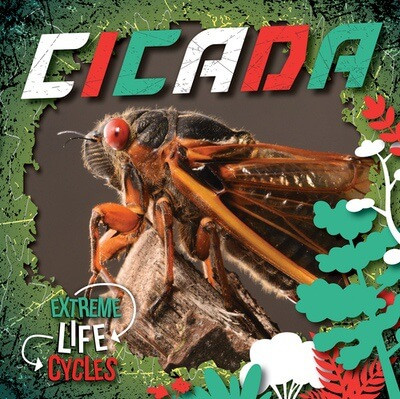 Cicada - 9781534546981 by E.C. Andrews, 9781534546981